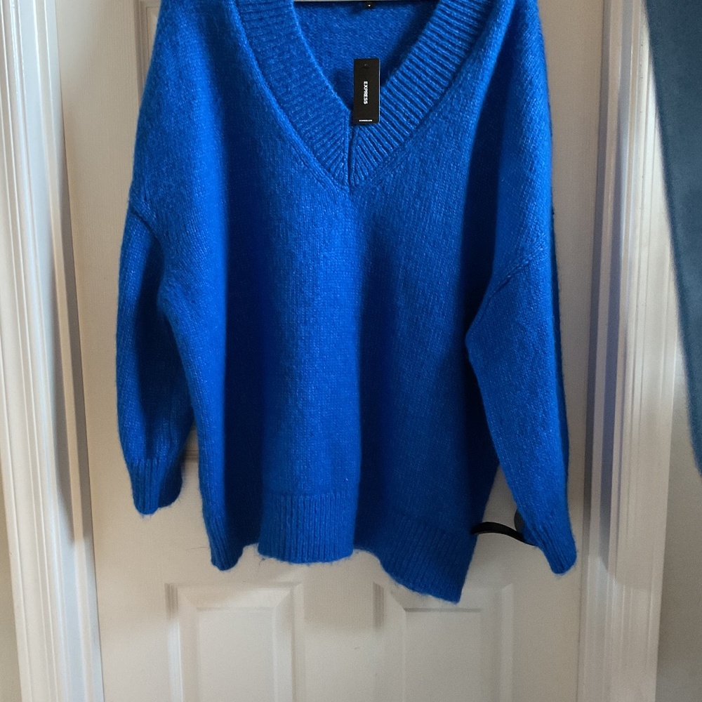 Express Royal Blue V-Neck Sweater